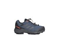 Scarpe Sportive per Bambini Adidas Terrex Gtx Infantil Blu scuro