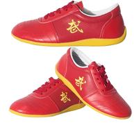 Scarpe Tai Chi, Scarpe da Ginnastica Kung Fu Wushu Performance, Scarpe Sportive da Allenamento Taekwondo, Scarpe da Passeggio per Arti Marziali per Palestra per Uomo Donna(Size:42EU,Color:C)