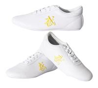 Scarpe Tai Chi, Scarpe da Ginnastica Kung Fu Wushu Performance, Scarpe Sportive da Allenamento Taekwondo, Scarpe da Passeggio per Arti Marziali per Palestra per Uomo Donna(Size:28EU,Color:D)