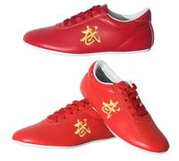 Scarpe Tai Chi, Scarpe da Ginnastica Kung Fu Wushu Performance, Scarpe Sportive da Allenamento Taekwondo, Scarpe da Passeggio per Arti Marziali per Palestra per Uomo Donna(Size:32EU,Color:F)