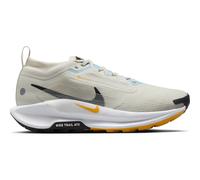 Scarpa impermeabile da trail running Nike Pegasus Trail 5 GORE-TEX - Donna - Grigio 38
