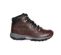 Scarpe trekking impermeabili Regatta Bainsford Marron 43