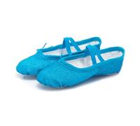 Scarpette Danza Classica Bambina Ballet Dance Shoes Yoga Gym Flat Slippers Glitter Pink Blue Rose Red Colors for Children Girls Women Teacher(Blue,42)