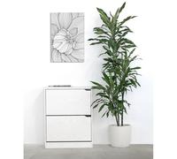 Scarpiera Da Muro 63×80 Cm 2 Ripiani Rovere Sbiancato