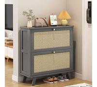 Scarpiera in rattan nizer a doppio strato scarpiera per ingresso interno esterno scarpiera con flip down Tumbler ingresso corridoio scarpa nizer