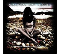 Scars of Life - What We Reflect
