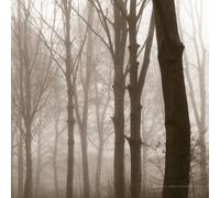 Scars of the Midwest by Blueneck (2012-10-23)