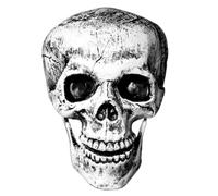 Scary Skull and Skeleton Hands Halloween Decor Stakes, Realistic Lawn Prop | Realistic skeleton skull and Ğroundbreaker hands. Perfect for indoor fireplace mantle display or outdoor graveyard lawn setup