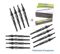 Scatola 12 Candele Di Spine per Clio Mégane Laguna Kangoo 1.5 1.9 DCI