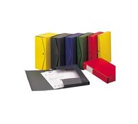 Scatola archivio Project - dorso 12 cm - 25 x 35 cm - rosso - Esselte