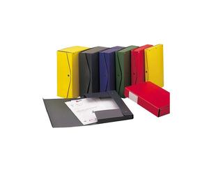 Scatola archivio Project - dorso 8 cm - 25 x 35 cm - verde - Esselte