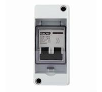 Scatola combinata solare impermeabile IP65 con interruttore interruttore CC a 2 poli per una protezione efficiente del circuito (DC400V-25A)