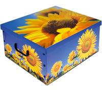 Scatola Componibile cm 50x40 h. 25 Tendenze 151
