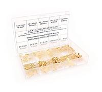 Scatola con 360 pezzi piccole viti per legno a norma DIN 96 in ottone da 1,6 X 8 mm, Schlitz, testa tonda. miniviti assortimento incluso beschrifteter Box