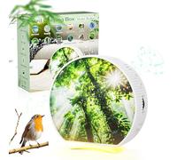 Scatola con sensore di movimento per uccelli, Scatola Sonora con Rumore Bianco e Luci, Timer, 12 Canzoni Rilassanti, Scatola per Cinguettio di Uccelli per Bagno, Casa