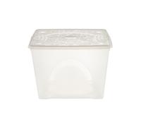 Scatola Custodia Plastica Trasparente 60X40X45Cm. 11210