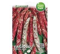 scatola da 250 grammi sgaravatti Fagiolo Borlotto Lingua di Fuoco Nano da Sgranare semi per la semina sementi