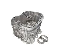 Scatola del cambio ZF 1325298021ZF