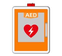 Scatola di allarme for defibrillazione cardiaca a parete, doppio interruttore di controllo, posizione della partizione regolabile, armadietto di pronto soccorso(Orange)