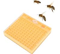 Scatola di allevamento delle api regine, accoppiamento delle api Nuc alveari in plastica ape re incubatore libero movimento scatola di allevamento innocuo apicoltore strumento apicoltura forniture