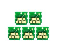 Scatola di manutenzione Chip C13S400086 SLMB1 Compatibile con D1000 D1080 D1070 D1030 D1040 D1060 Stampanti Sostituzione del serbatoio a inchiostro di scarto(1 picece)