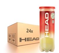 Scatola di palline da tennis Head Championship 24 x 3B