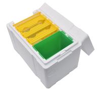 Scatola di schiuma Versatile Queen Allevamento Box Apicoltore Caso Regina Allevamento Apicoltore Apicoltore Fornitori
