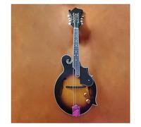 Scatola Elettrica A Forma Di F Fatta A Mano Mandolino Elettrico Mandolino In Compensato Opaco A 8 Corde In Abete Rosso