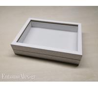 scatola entomologica legno BIANCA 19X26 plastazote entomologia cassetta insetti
