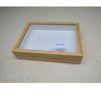 scatola entomologica legno CHIARA 19X26 plastazote entomologia cassetta insetti