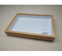 scatola entomologica legno CHIARA 26X39 plastazote entomologia cassetta insetti