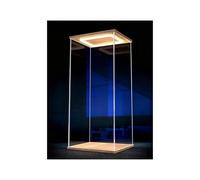 Scatola espositiva in acrilico, Display acrilico a LED for oggetti da collezione con porta, dimensioni multiple(20x20x40cm(8x8x16in))