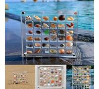 Scatola Espositiva in Acrilico Trasparente con 36 Scomparti - Perfetta per Conchiglie, Cristalli, Diamanti, Gemme per Nail Art E Oggetti da Collezione - Elegante Organizer per 36