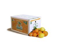 Scatola Mix Agrumi 4kg Arance + 1kg Limoni + 2kg Clementine - Agrumi 100% Siciliani e 100% Naturali - Massima Freschezza e Sostenibilità, Raccolti Direttamente dai Nostri Alberi - Totale 7kg
