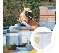 Scatola per allevamento di api regine, scatola per arnia con 4 telaini