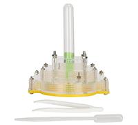 Scatola per allevamento in acrilico, custodia per alimentazione trasparente per l'osservazione, casa a forma di piramide con zona di umidificazione, design anti-evasione per