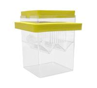 Scatola per allevamento pesci - 8,6x8,6x10,5 cm 1 set in ABS, divisorio isolante, dei gamberetti | Perfettamente per l'uso nella protezione dagli avannotti 'acquario