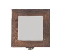 Scatola per Insetti in Legno Acrilico, Espositore Retro per Campioni | Contenitore per Piccoli Oggetti e Gioielli, Protezione Dalla Polvere, Adatto a Raccolta e Scrivania
