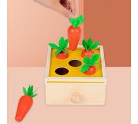 Scatola per la permanenza Montessori giocattolo educativo Scatola di