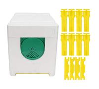 Scatola per l'accoppiamento delle api regine, scatola per l'impollinazione per l'apicoltura, mini scatola in schiuma e plastica per l'ape regina con accessori gialli per Apis Melli