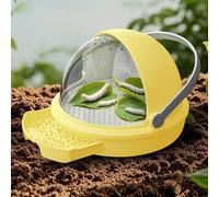 Scatola per l'allevamento del baco da seta, scatola trasparente per