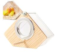 Scatola per l'allevamento di pappagalli, per uccelli, in legno, trasparente, per pappagalli, fringuelli, canarini, pappagalli