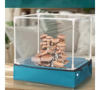 Scatola per piantare funghi, capanno pieghevole trasparente per coltivazione, tenda portatile per coltivare funghi, per interni, casa, giardino, piante grasse, serra (casa dei funghi)