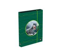 Scatola Porta Quaderni A4 Jumbo OXY Sherpy Verde