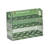 Scatola portaoggetti automatica per uova con porta laterale del frigorifero, con accesso laterale, in PET, 26 x 10 x 20 cm, verde e trasparente (verde)