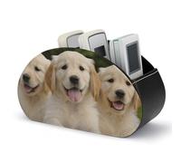Scatola portaoggetti in pelle PU per telecomandi, organizer da scrivania a 5 scomparti con stampa di cuccioli di Golden Retriever, portatelecomandi per TV, articoli per ufficio, pennelli per il truc
