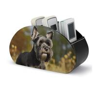 Scatola portaoggetti per telecomando Schnauzer Dog on The Grass con 5 scomparti, organizer in pelle per telecomando per tavolino, elegante porta accessori TV per soggiorno, camera da letto, ufficio