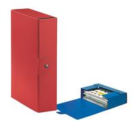 Scatola Portaprogetti Eurobox C30 Esselte - Dorso 10 - 25x35 cm - 390330160 (Ros