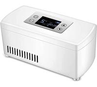 Scatola portatile for il raffreddamento dell'insulina for farmaci, custodia for il raffreddamento dell'insulina, refrigeratore for insulina, termostato for il raffreddamento dei farmaci(Dualbattery)