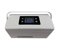 Scatola refrigerata Portatile per medicinali, Dispositivo di Raffreddamento per insulina con Borsetta Sia per la casa Che per l'auto, soddisfa Il Frigorifero per medicinali per la conser